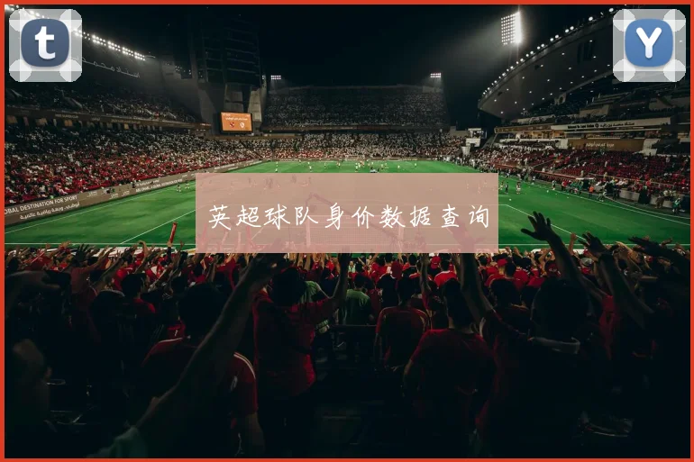 英超球队身价数据查询