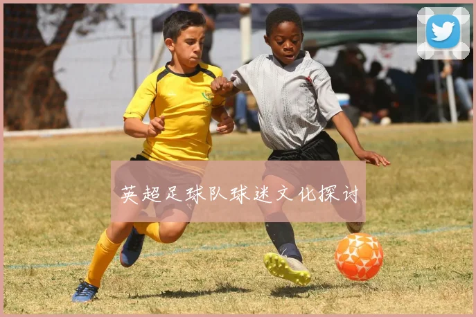 英超足球队球迷文化探讨