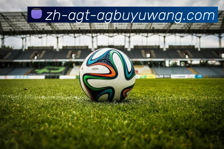 AG捕鱼王官网发展历程